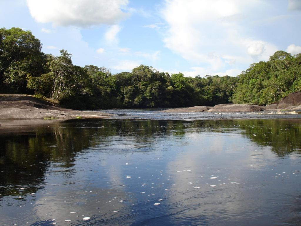 Colombia: País Biodiverso, Altamente Vulnerable Ante Cambio Climático, Efectos de la Minería.