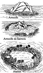 ARRECIFE COSTERA, son formaciones que se desarrollan junto a la costa o ladera de isla, tiene una superficie escabrosa, tipo meseta y ancho es hasta de 1 Km.