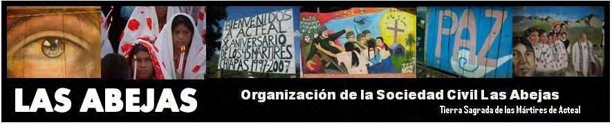SOLIDARITY: Responding to the needs of indigenous organizations (Las Abejas,
