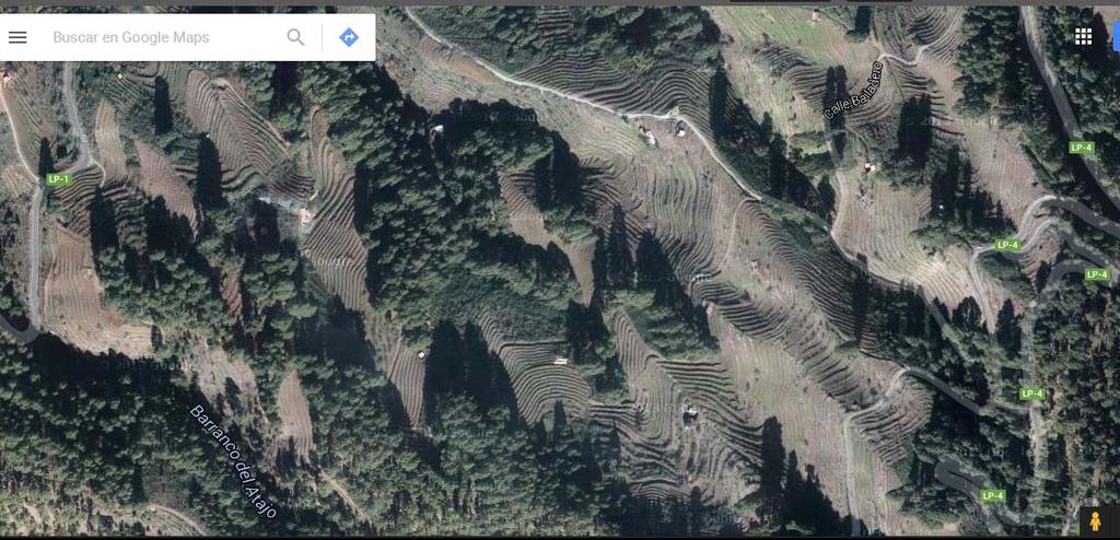 (Vista aérea zona de cultivo de viñas en