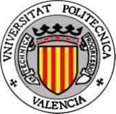 UNIVERSIDAD POLITÉCNICA DE VALENCIA ESCUELA TÉCNICA SUPERIOR DE INGENIEROS DE CAMINOS, CANALES Y PUERTOS
