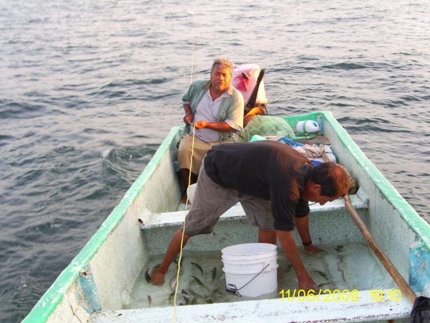 Esfuerzo de Pesca El número de individuos, embarcaciones o artes de pesca, que son