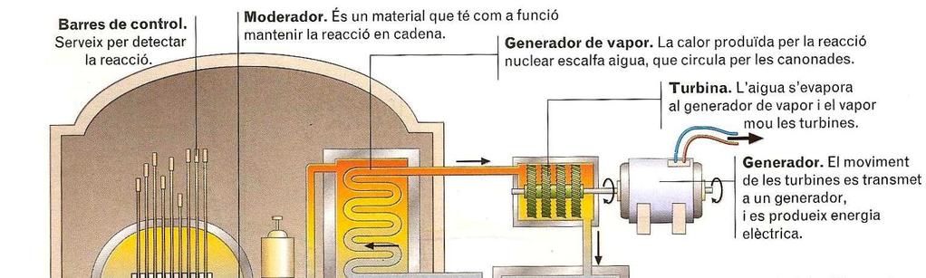 Centrals nuclears L energia nuclear s obté a partir de la fissió de nuclis d urani que són bombardejats amb neutrons,