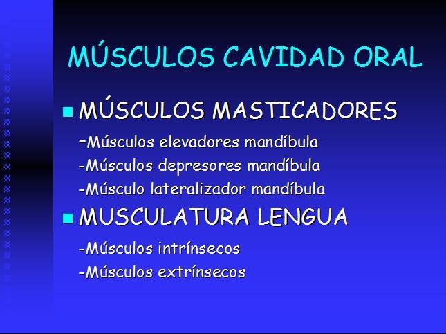 2.-Elaboración por parte del profesor de una tabla donde se relacionen los músculos que forman parte de la cavidad oral con el sistema neuromuscular al que pertenecen y con sus inserciones musculares.