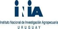 genética de la raza Merino en el Uruguay