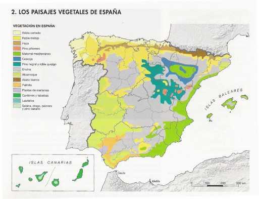 biogeográficos: la diferencia entre España húmeda y España seca condiciona la variedad de vegetación desde