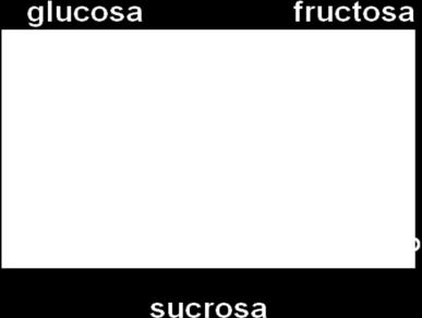 Hay tres tipos principales Monosacáridos: (azúcares simples) Oligosacáridos: (carbohidratos de cadena corta) Polisacáridos: (carbohidratos complejos) Monosacáridos