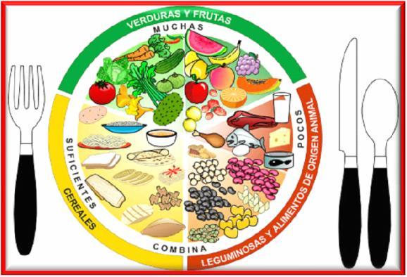 PLATO DEL BUEN COMER Guía de Alimentación para México NOM-043-SSA2-2005 Características de una dieta correcta: Completa: Que contenga todos los nutrimentos.