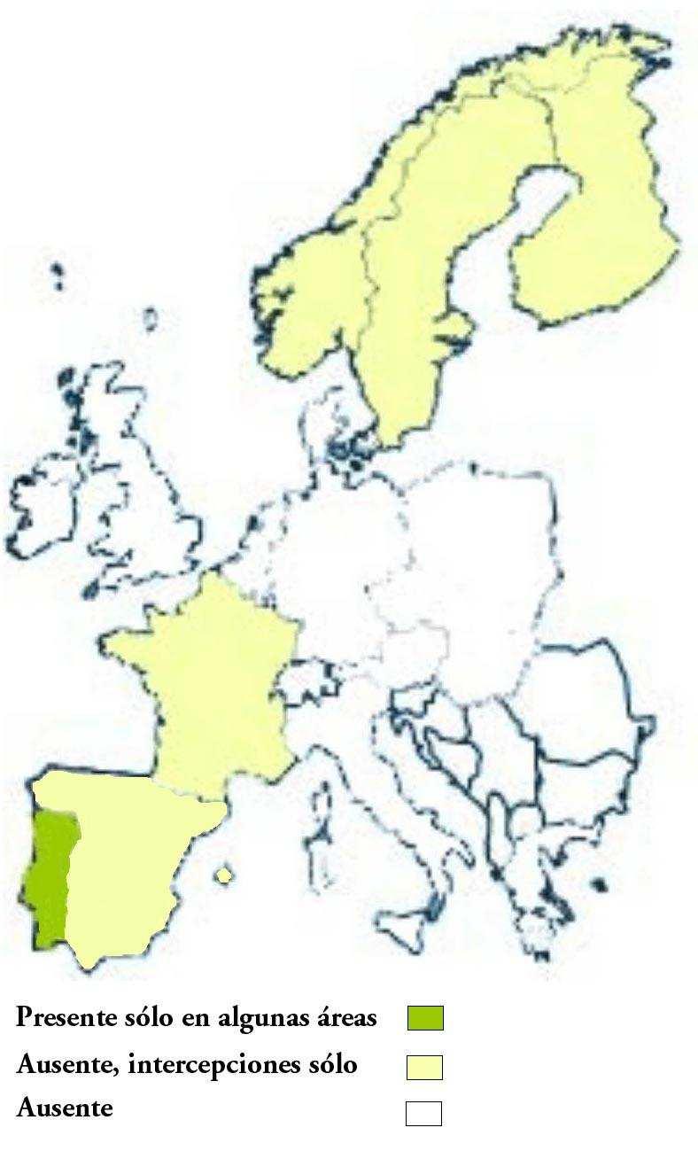 2.2 DISTRIBUCIÓN EN EUROPA Se han realizado estudios en diversos países europeos (Alemania, Holanda, Noruega, Polonia, Suecia y Gran Bretaña) para determinar si puede estar presente el nematodo y se