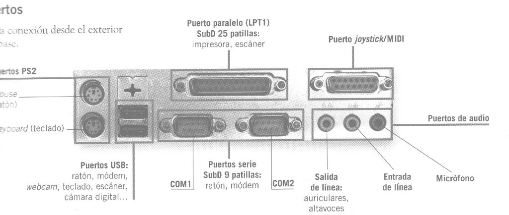 Los Puertos: Son conectores a los que se conectan distintos dispositivos de almacenamiento, de entrada o de salida. Dependiendo del tipo de puerto se transmite la información a más o menos velocidad.