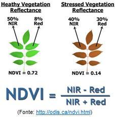 Reflectancia Vegetación saludable 50% 8% IRC Rojo Índices de Vegetación Reflectancia Vegetación bajo 40% estrés