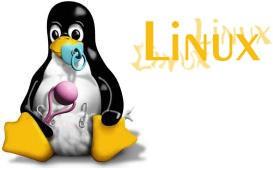 1º Linux