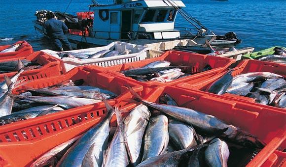 Beneficios del Acuerdo sobre MERP Sostenibilidad y conservación a largo plazo de los recursos marinos vivos y sus ecosistemas Combate la pesca INDNR de