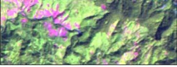 falso) Imagen Landsat-7 (junio