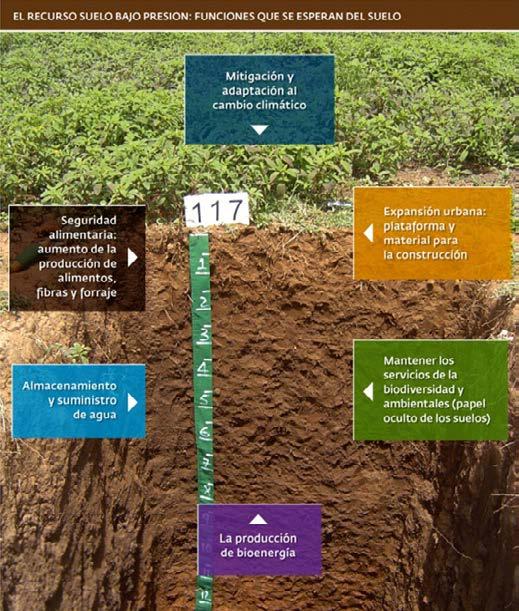 Recomendaciones Estos portales contienen información para que puedas conocer sobr ela importancia de los suelos. Suelos sanos: alimentos sanos y nutritivos.