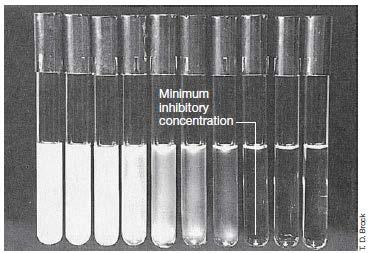 Cuantificación de la actividad antimicrobiana Concentración inhibitoria mínima (CIM) es la menor cantidad del