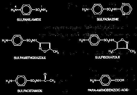 Antibióticos que inhiben la síntesis de ácidos nucleicos Sulfamidas Pteridina + PABA