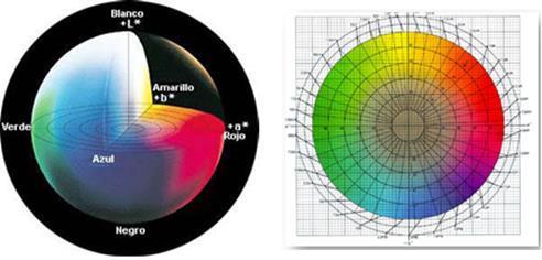 Figur 2. Espcio idimensionl de color según el sistem CieL. En los frutos se efecturon mediciones en tres puntos equidistntes de cd ldo del fruto.