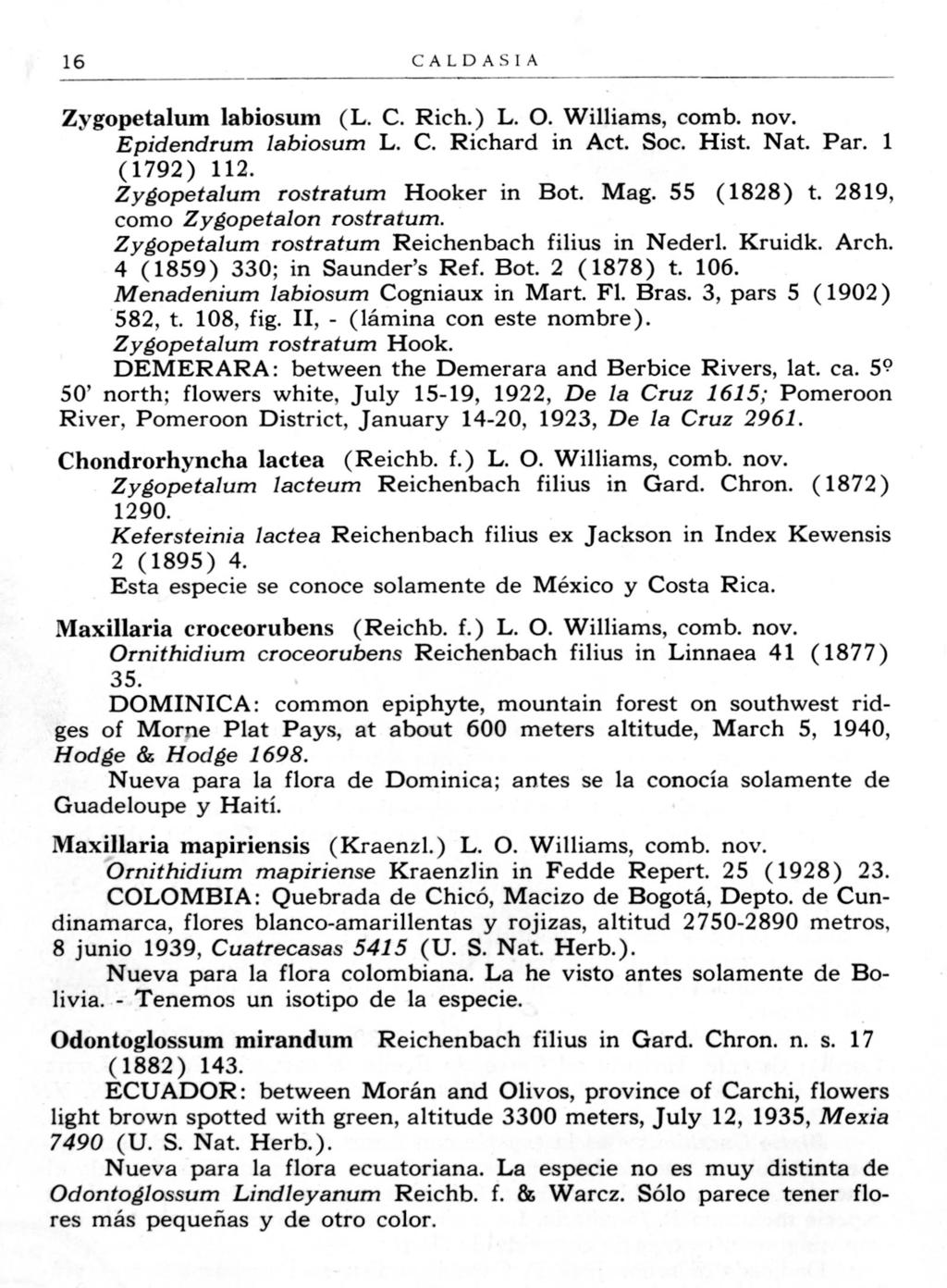 16 CALDASlA Zygopetalum labiosum (L. C. Rich.) L. O. Williams, comb. nov. Epidendrum labiosum L. C. Richard in Act. Soc. Hist. Nat. Par. 1 (1792) 112. Zygopetalum rostratum Hooker in Bot. Mag.