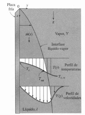 3. CONDENSACIÓN DE VAPORES 3.1. Condensación en película PLACA PLANA VERTICAL Calor latente de vaporización modificado (Rohsenow): Prop.