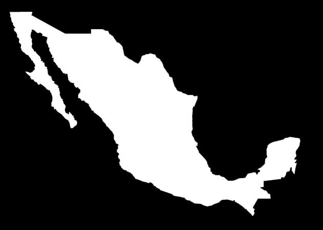 MEXICANOS DE 15 AÑOS EN ADELANTE