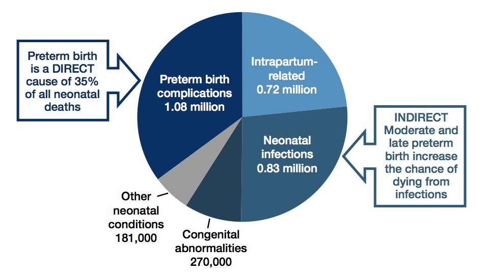 Distribución de causas de muerte neonatal en