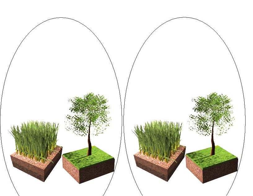 Niveles aumentados de dióxido de carbono estimula el crecimiento de arbustos 360