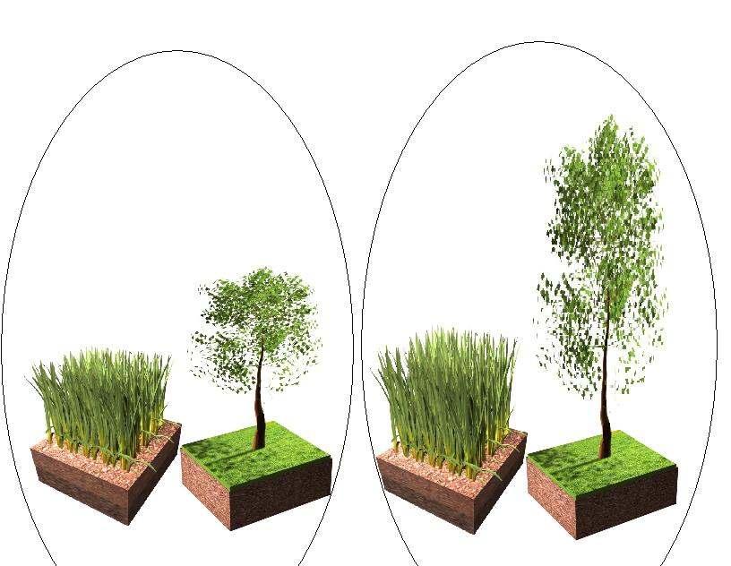Niveles aumentados de dióxido de carbono estimula el crecimiento de arbustos 360 ppm CO2 720 ppm