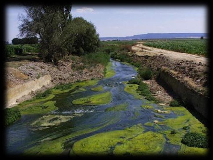 DBO y DQO en aguas residuales Las aguas residuales no tratadas son generalmente ricas de sustancias orgánicas que constituyen una fuente de nutrición para bacterias y algas normalmente presentes en