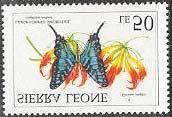 Lepidoptera : Nymphalidae.