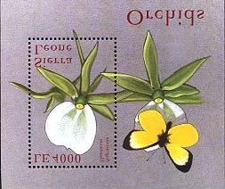 2000 Mayo 16 : Orquideas (1 de 2 HF)