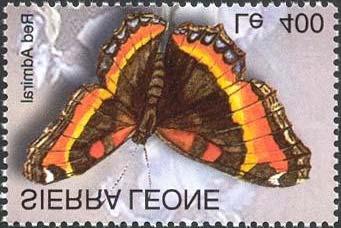 Lepidoptera : Saturniidae