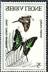 1980 Octubre 6 : Mariposas (4