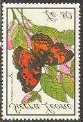 Lepidoptera : Coenura