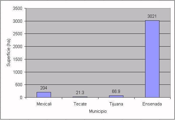 De los cuatro municipios que registran actividad vitícola, Ensenada contribuye con el