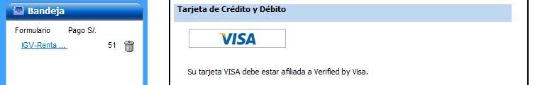 Tarjeta de Crédito y Débito - VISA Al escoger esta opción de pago, se abrirá una ventana de VISA donde le
