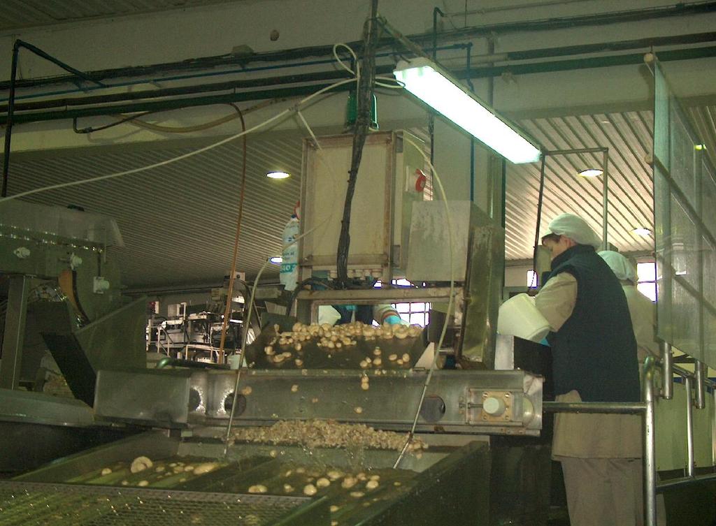 Proyecto de cultivo de champiñón Proyecto Ayecue-China Localización: Liaocheng, China Actividad: Cultivo de champiñón Inversión del proyecto: