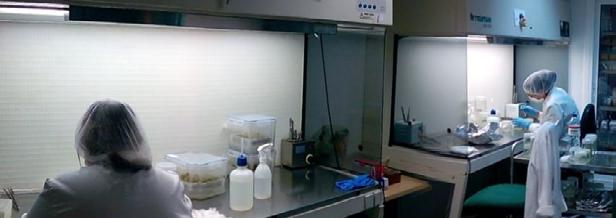 Un laboratorio dotado de equipamiento para: extracción de ADN y caracterización molecular.