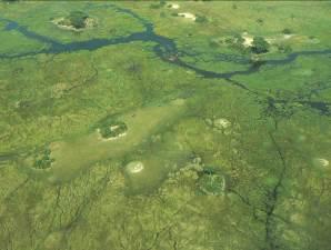 LA MEJOR EXPLORACIÓN DEL DELTA DEL OKAVANGO Tras numerosos viajes de prospección, el equipo está muy orgulloso de compartir con vosotros los paisajes más emblemáticos del delta del Okavango.