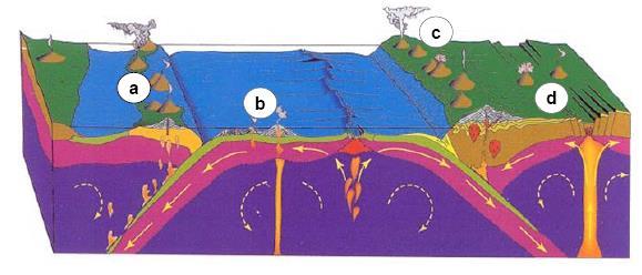 4.- Dónde se sitúa un arco isla volcánico en el siguiente esquema? A) a. B) b.