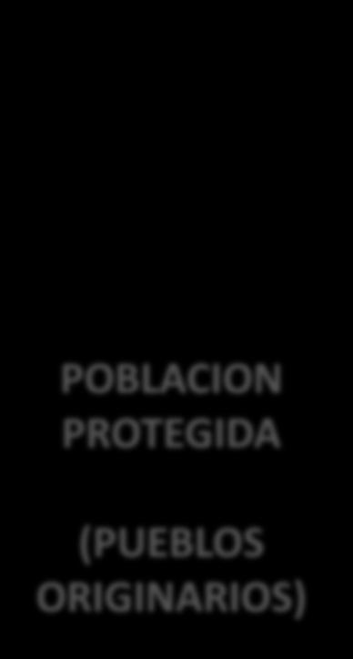 POBLACION PROTEGIDA (PUEBLOS ORIGINARIOS) Gobierno de Chile Servicio de Evaluación Ambiental Región de La Araucanía Art.