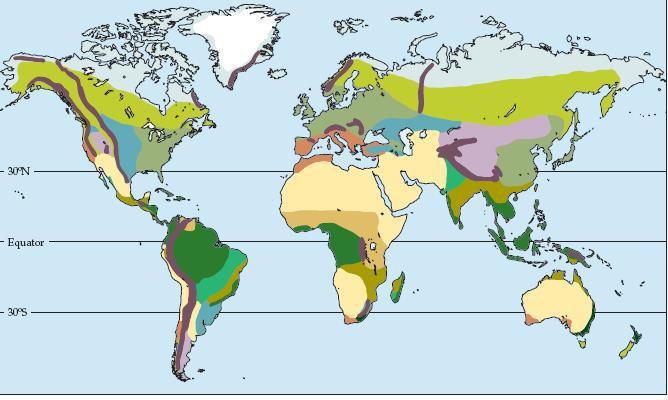 b. En el mapa se representan los principales biomas terrestres: Marque con una X los biomas que se puede encontrar entre la franja 30º latitud norte y 30º latitud sur: Biomas Tundra
