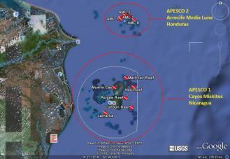 APESCO (Áreas de Pesca de Interés para la Conservación) APESCO 1: Zona de