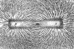 Magnetismo D Líneas de fuerza magnéticas de un imán de barra, producidas por limaduras de hierro sobre papel.