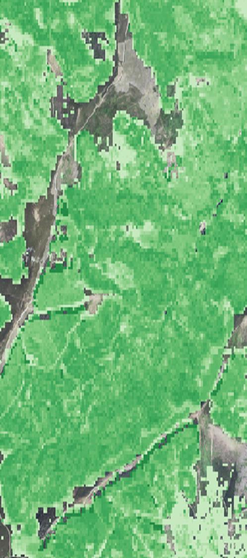 Inventarios forestales continuos De qué manera el uso de información de sensores satelitales complementa los inventarios forestales?