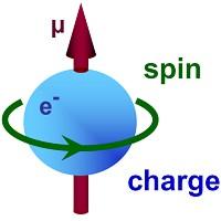 Introducción Los protones y los neutrones del núcleo de un átomo poseen un momento angular que se llama