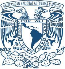 Seminario de Investigación LEER EN LA UNIVERSIDAD ORGANIZADORES Universidad Nacional Autónoma de