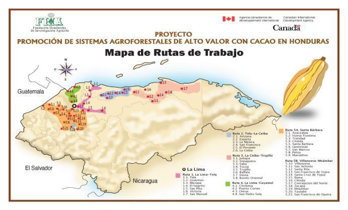 6.2. Proyecto Promoción de sistemas agroforestales de alto valor con cacao en Honduras INTRODUCCIÓN El Proyecto Promoción de Sistemas Agroforestales de Alto Valor con Cacao en Honduras dio inicio en