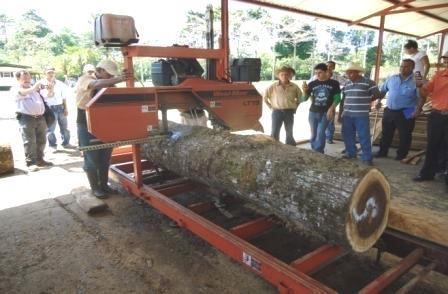 Aprovechamiento de especies maderables con 23 años de edad que han crecido bajo la modalidad de árboles en línea, junto a lotes comerciales con cacao. CEDEC, La Masica, Atlántida, 2011.