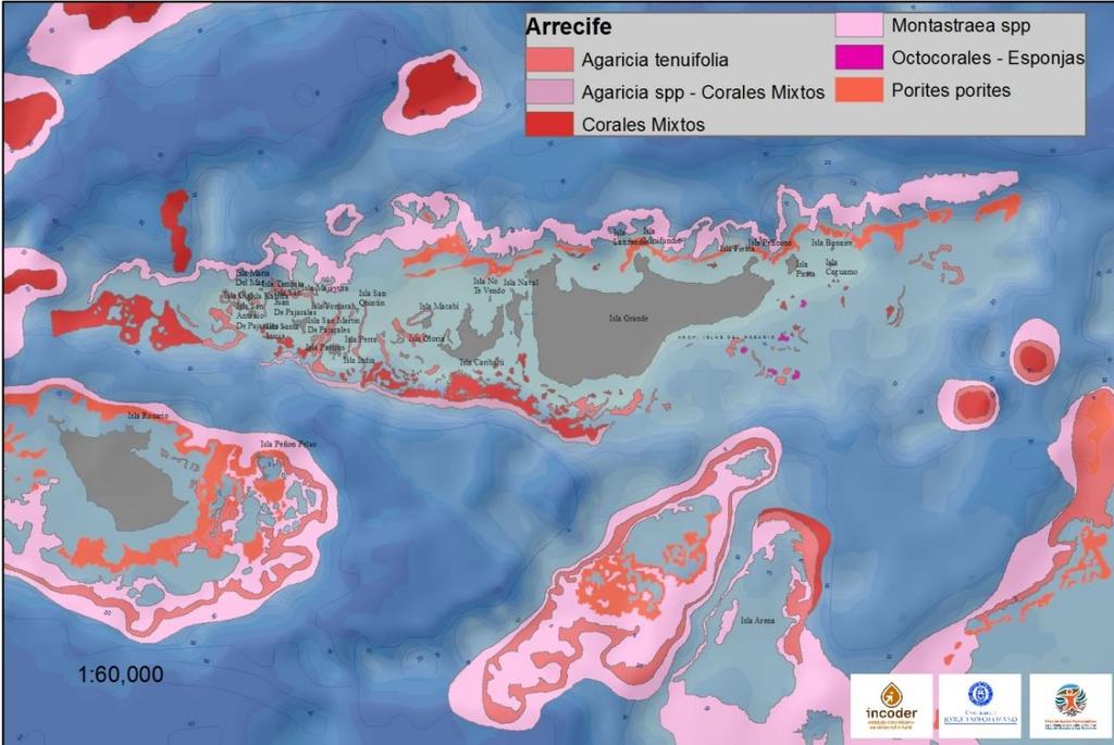 Ecosistemas Formaciones arrecifales coralinas - Nuestra Señora del Rosario